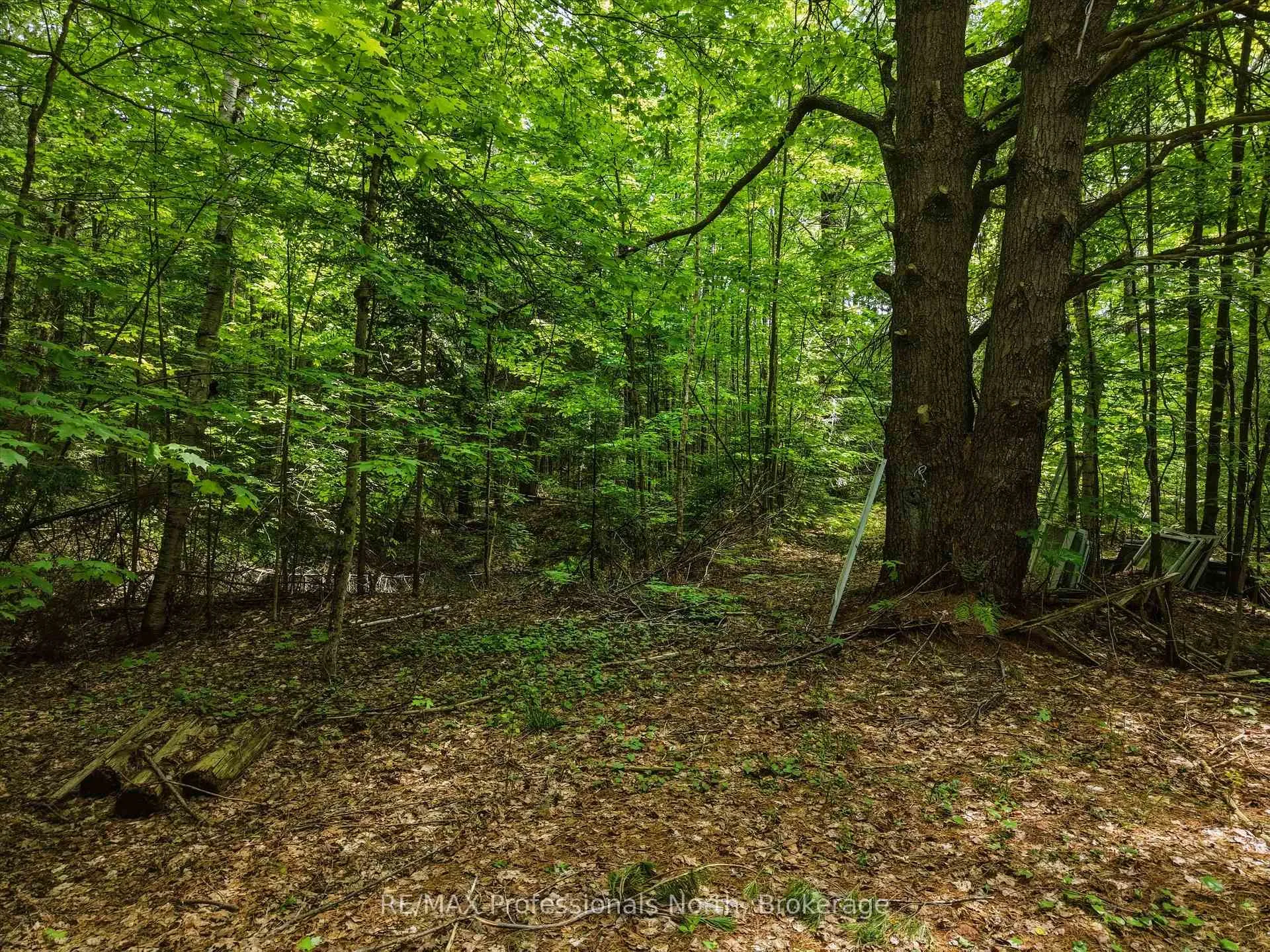 Photo 1 of 2445 Manitoba Street, Bracebridge, Monck (Bracebridge) — HOMEH