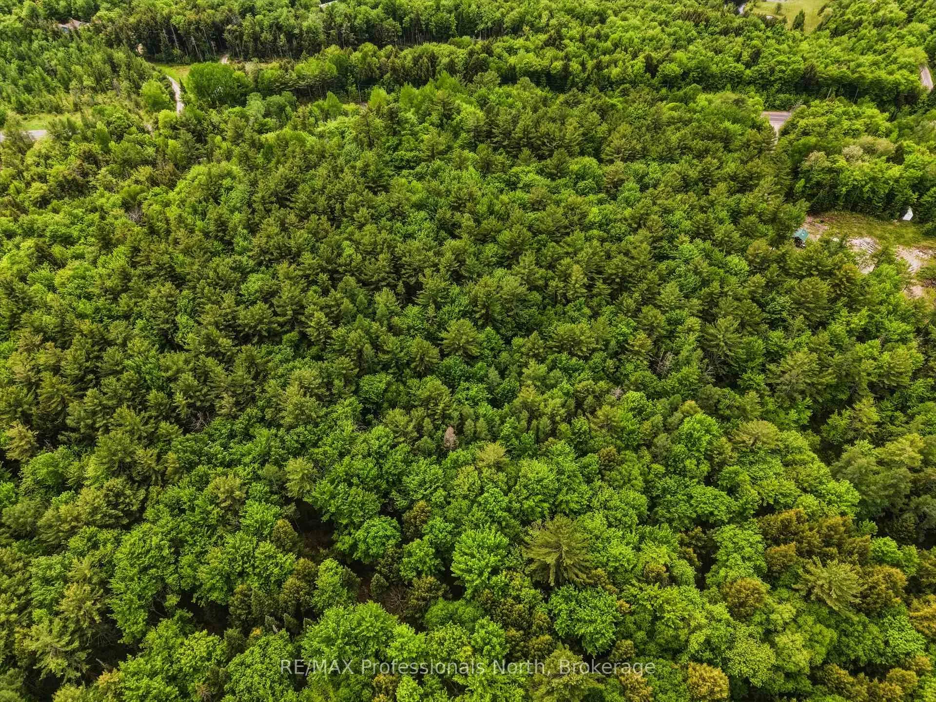 Photo 5 of 2445 Manitoba Street, Bracebridge, Monck (Bracebridge) — HOMEH