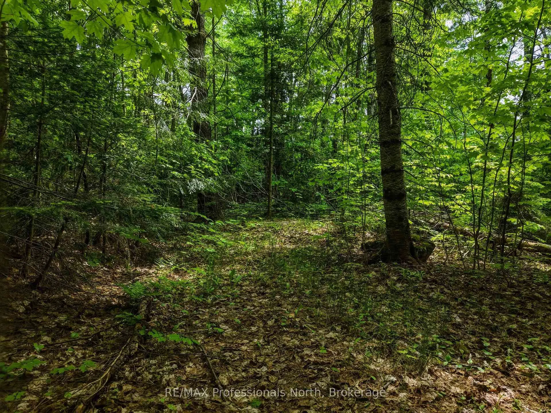 Photo 6 of 2445 Manitoba Street, Bracebridge, Monck (Bracebridge) — HOMEH