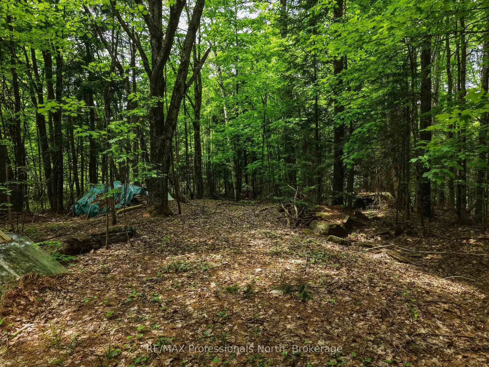 Photo 7 of 2445 Manitoba Street, Bracebridge, Monck (Bracebridge) — HOMEH