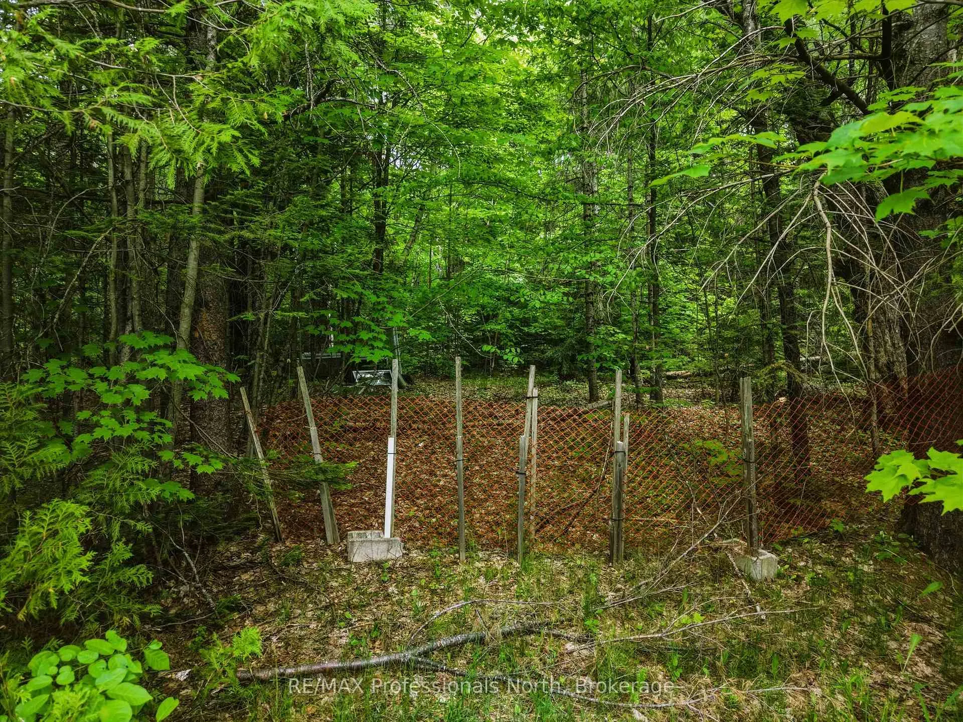 Photo 10 of 2445 Manitoba Street, Bracebridge, Monck (Bracebridge) — HOMEH