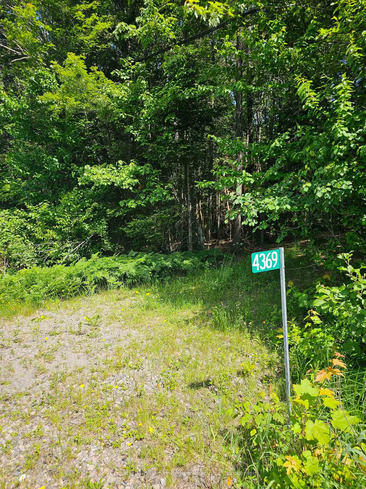 Photo 1 of 4369 Highway 534, Nipissing — HOMEH