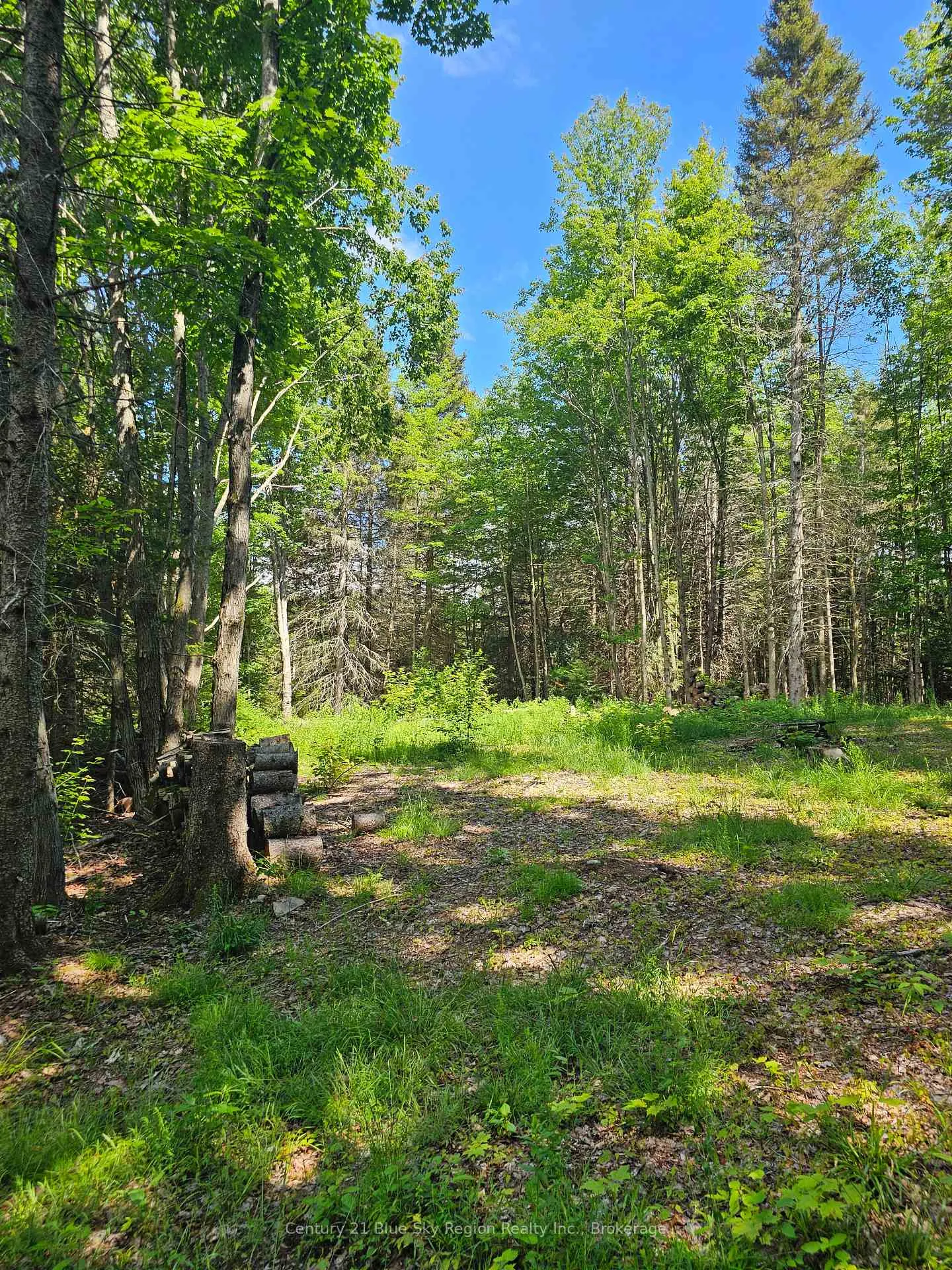 Photo 9 of 4369 Highway 534, Nipissing — HOMEH