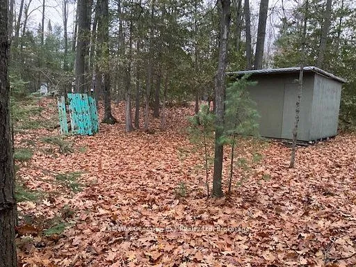 Photo 3 of 46 Oakwood Avenue N, Tiny, Rural Tiny — HOMEH
