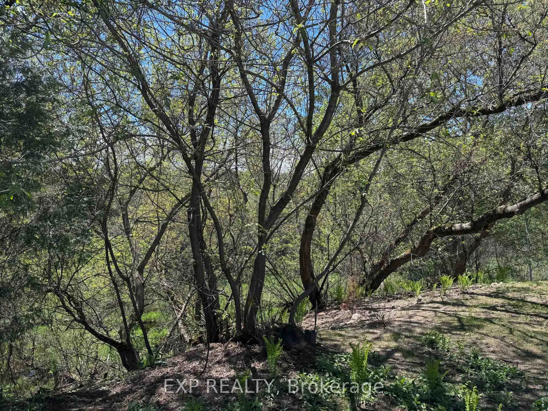 Photo 23 of 15 Zilney Street, Madawaska Valley, Madawaska Valley — HOMEH