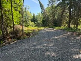 Photo 2 of Pt Lt 13 Con 8 Road, Wollaston — HOMEH