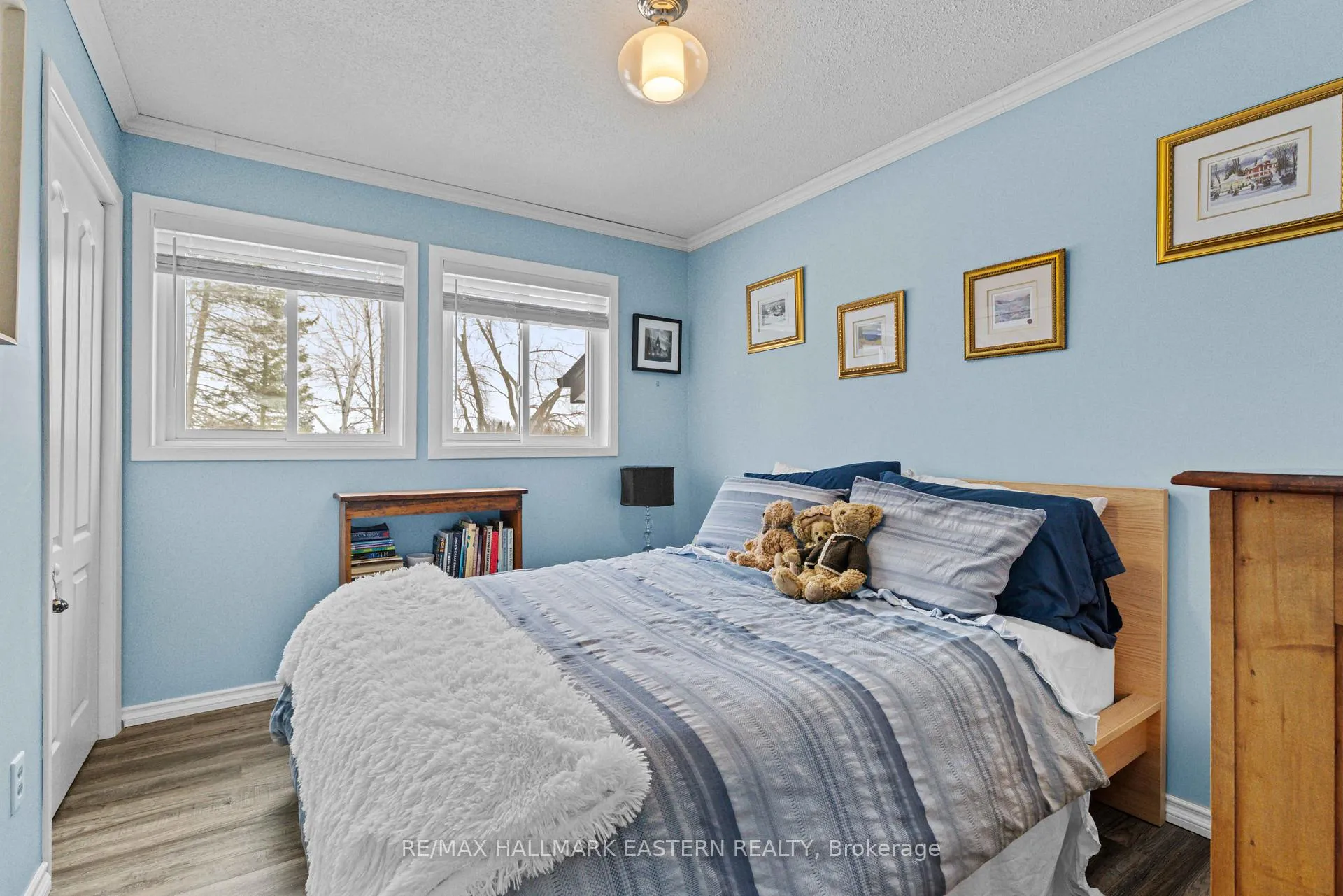 Photo 20 of 70 Birch Point Drive, Kawartha Lakes, Emily — HOMEH