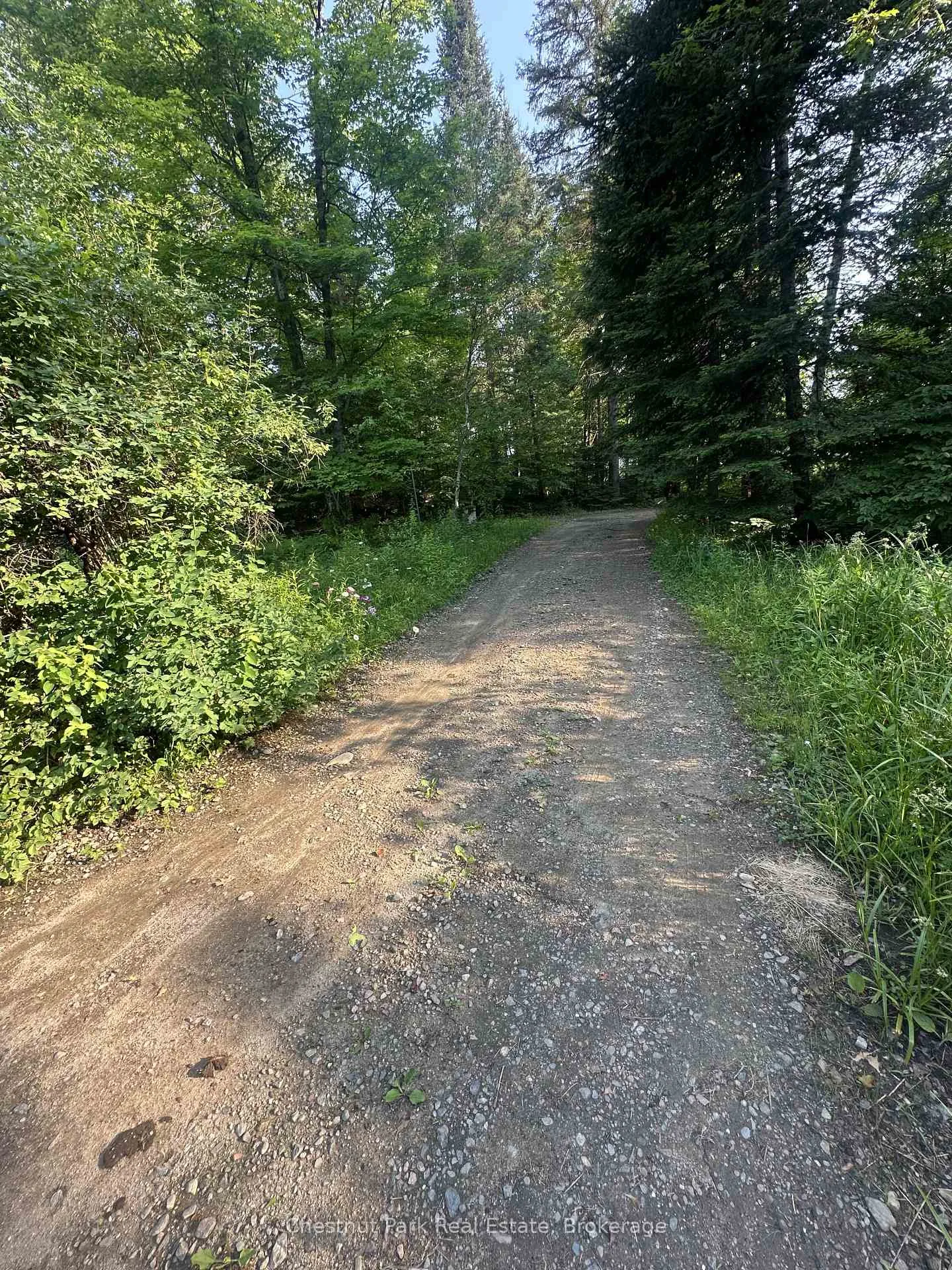 Photo 6 of 50 Rose Bush Lane, Perry, Scotia — HOMEH