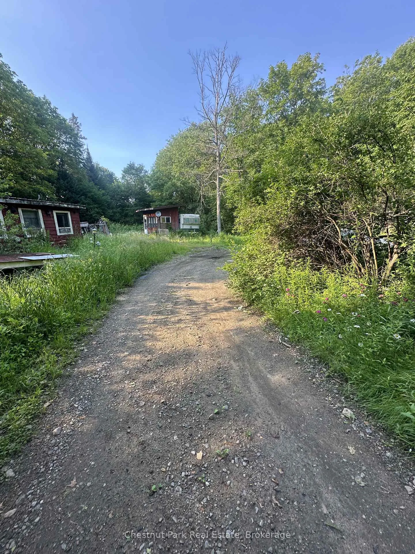 Photo 8 of 50 Rose Bush Lane, Perry, Scotia — HOMEH