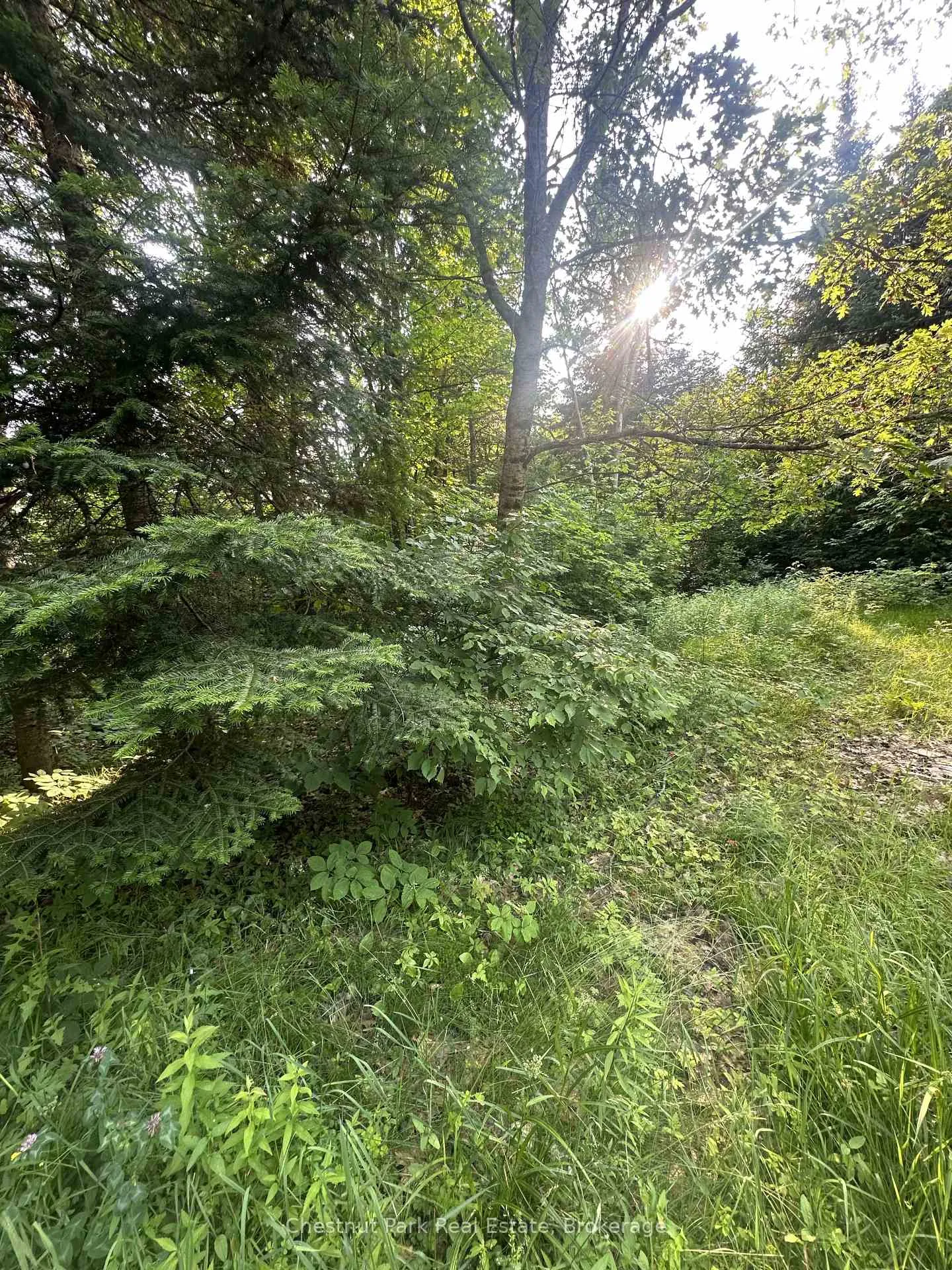 Photo 1 of 50 Rose Bush Lane, Perry, Scotia — HOMEH