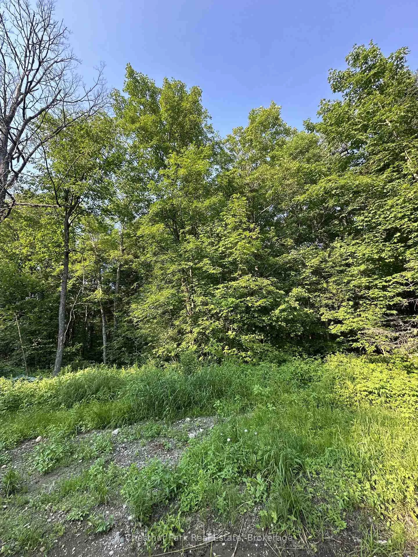 Photo 9 of 50 Rose Bush Lane, Perry, Scotia — HOMEH
