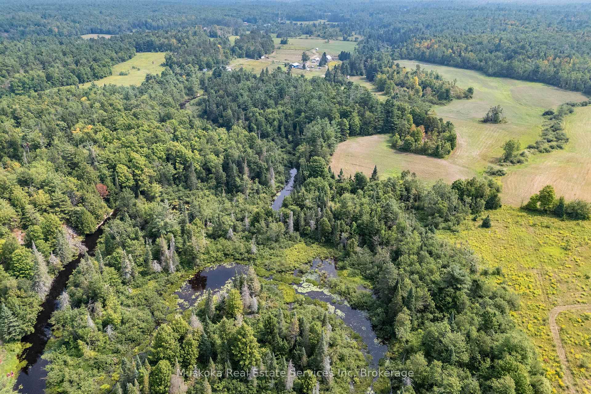 Photo 8 of 1073 Fire Route A1 Drive, Gravenhurst, Ryde — HOMEH