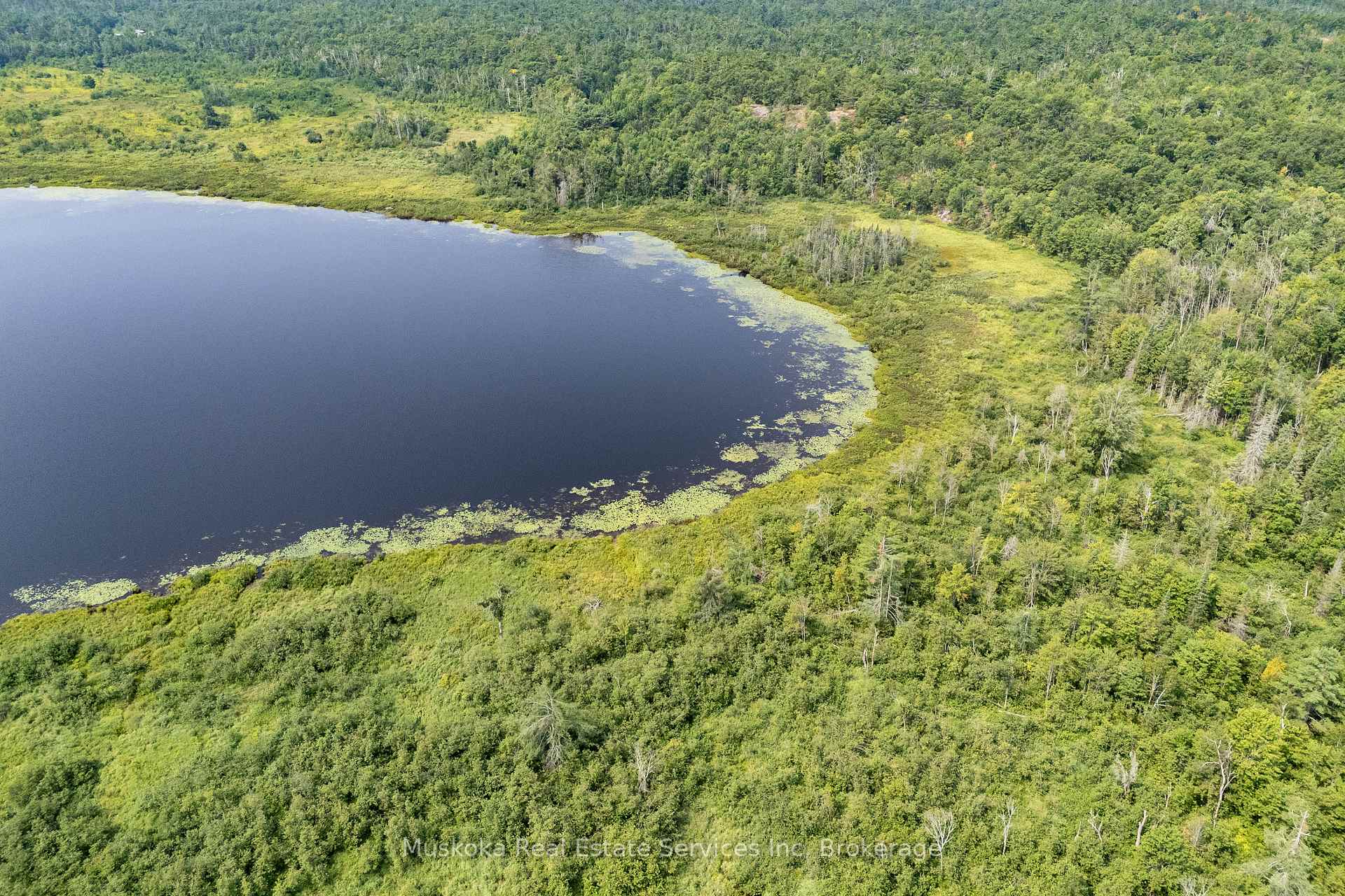 Photo 14 of 1073 Fire Route A1 Drive, Gravenhurst, Ryde — HOMEH