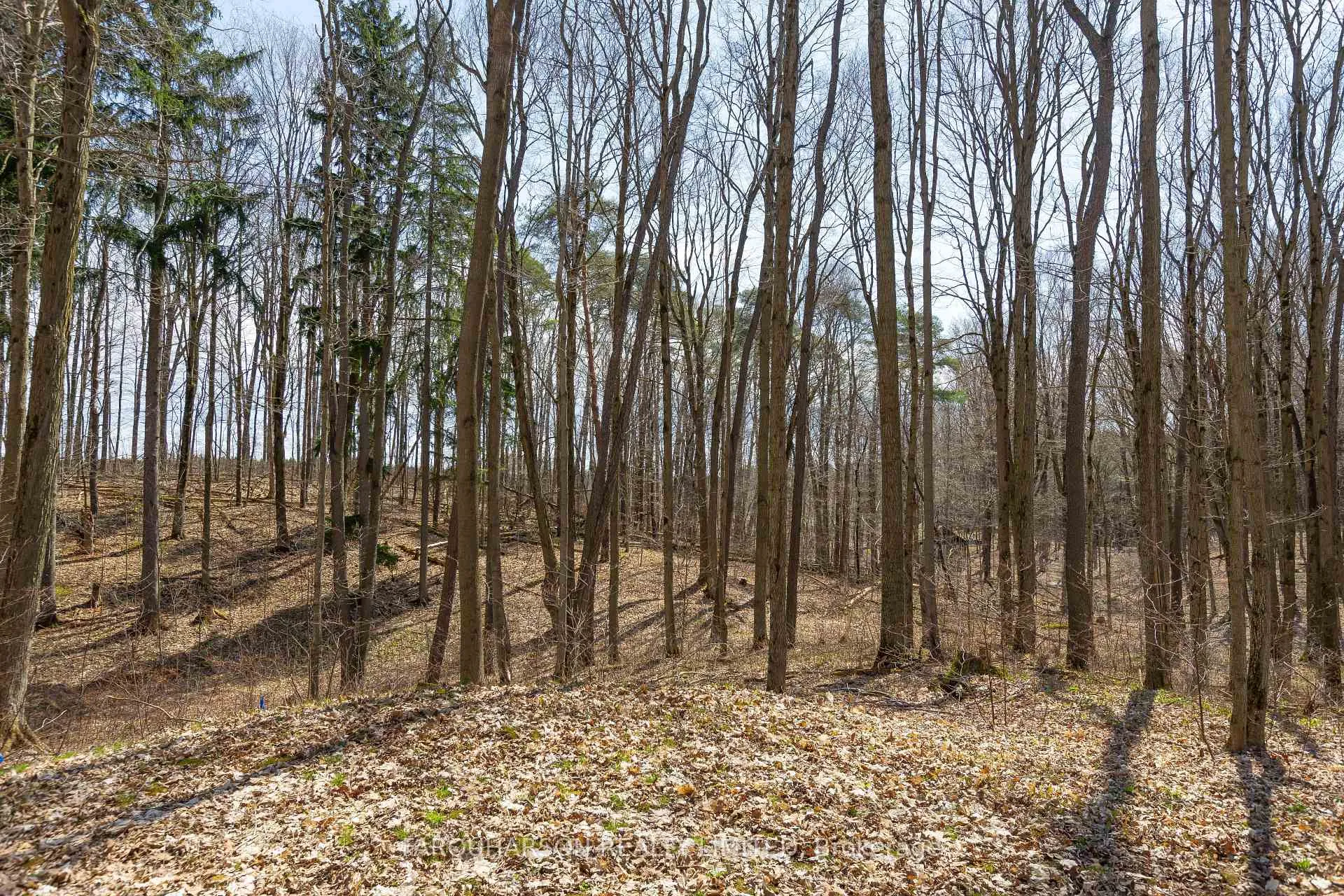 Photo 35 of 159 Highway 47, Uxbridge, Rural Uxbridge — HOMEH