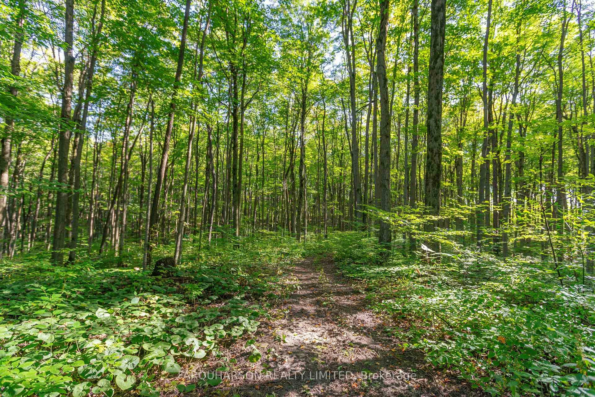 Photo 24 of 159 Highway 47, Uxbridge, Rural Uxbridge — HOMEH