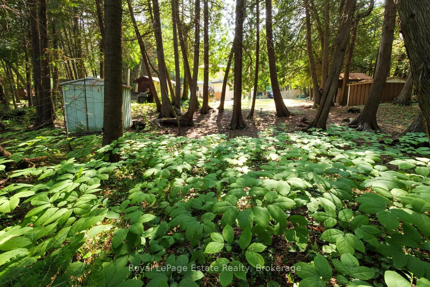 Photo 28 of 125 Third Avenue N, South Bruce Peninsula — HOMEH