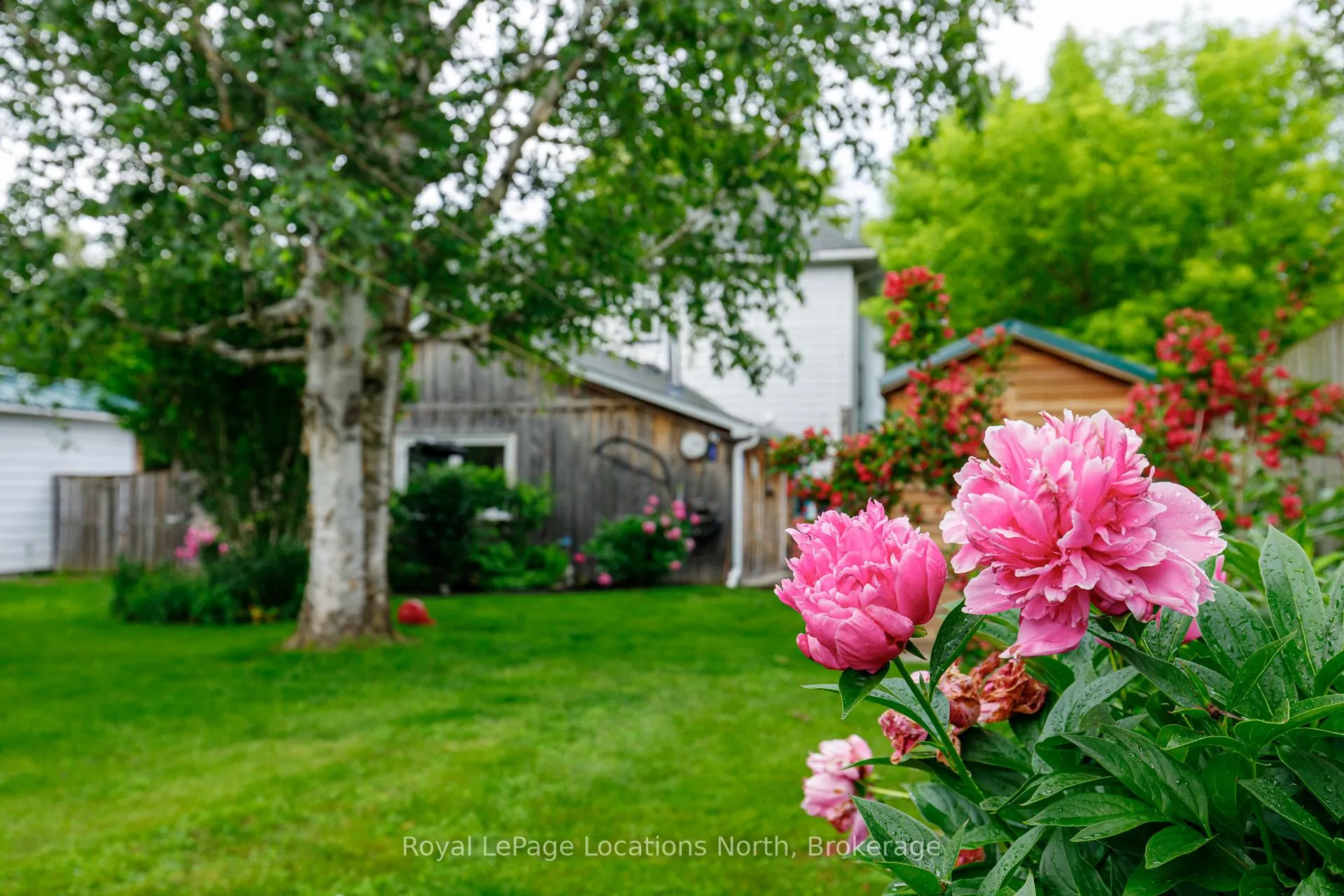 Photo 34 of 142 Marsh Street W, Blue Mountains — HOMEH