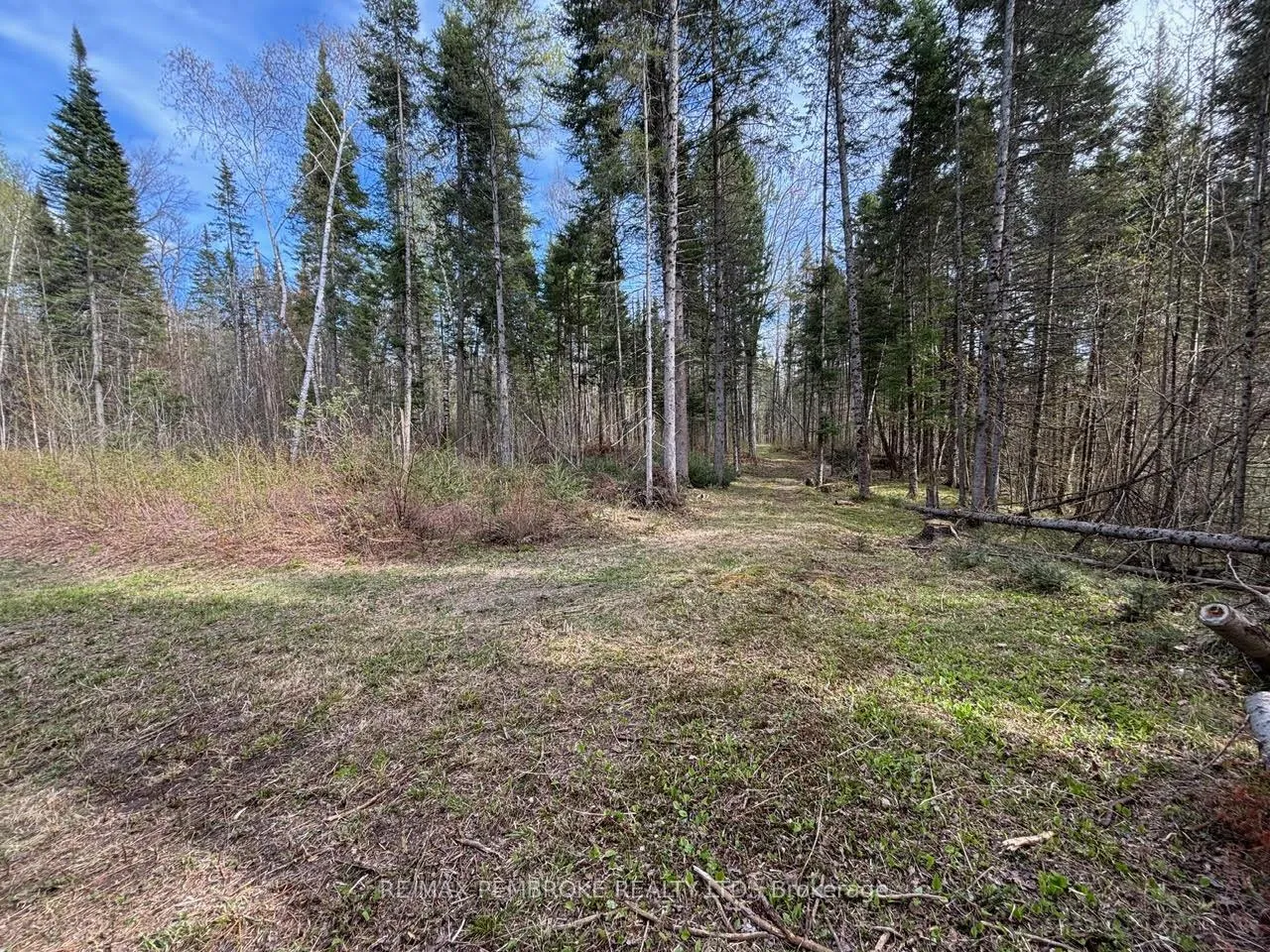 Photo 7 of 3068 McLaughlin Road, Whitewater Region, Whitewater Region — HOMEH