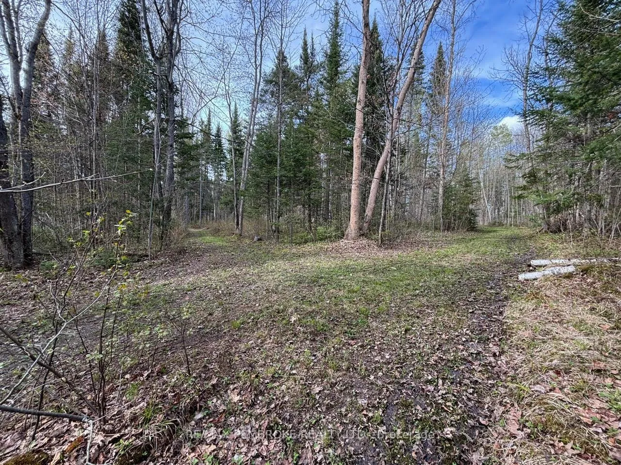 Photo 8 of 3068 McLaughlin Road, Whitewater Region, Whitewater Region — HOMEH