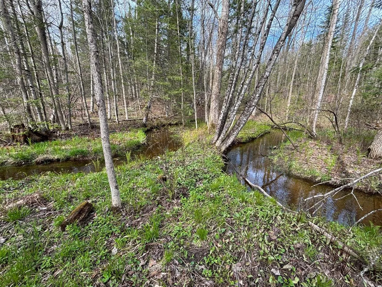 Photo 10 of 3068 McLaughlin Road, Whitewater Region, Whitewater Region — HOMEH