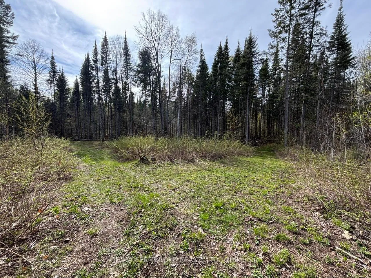 Photo 12 of 3068 McLaughlin Road, Whitewater Region, Whitewater Region — HOMEH