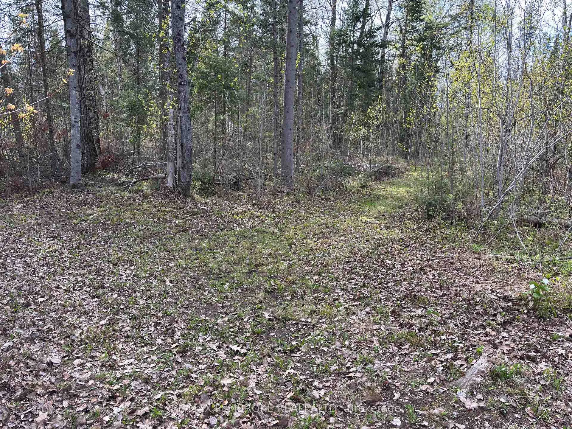 Photo 14 of 3068 McLaughlin Road, Whitewater Region, Whitewater Region — HOMEH