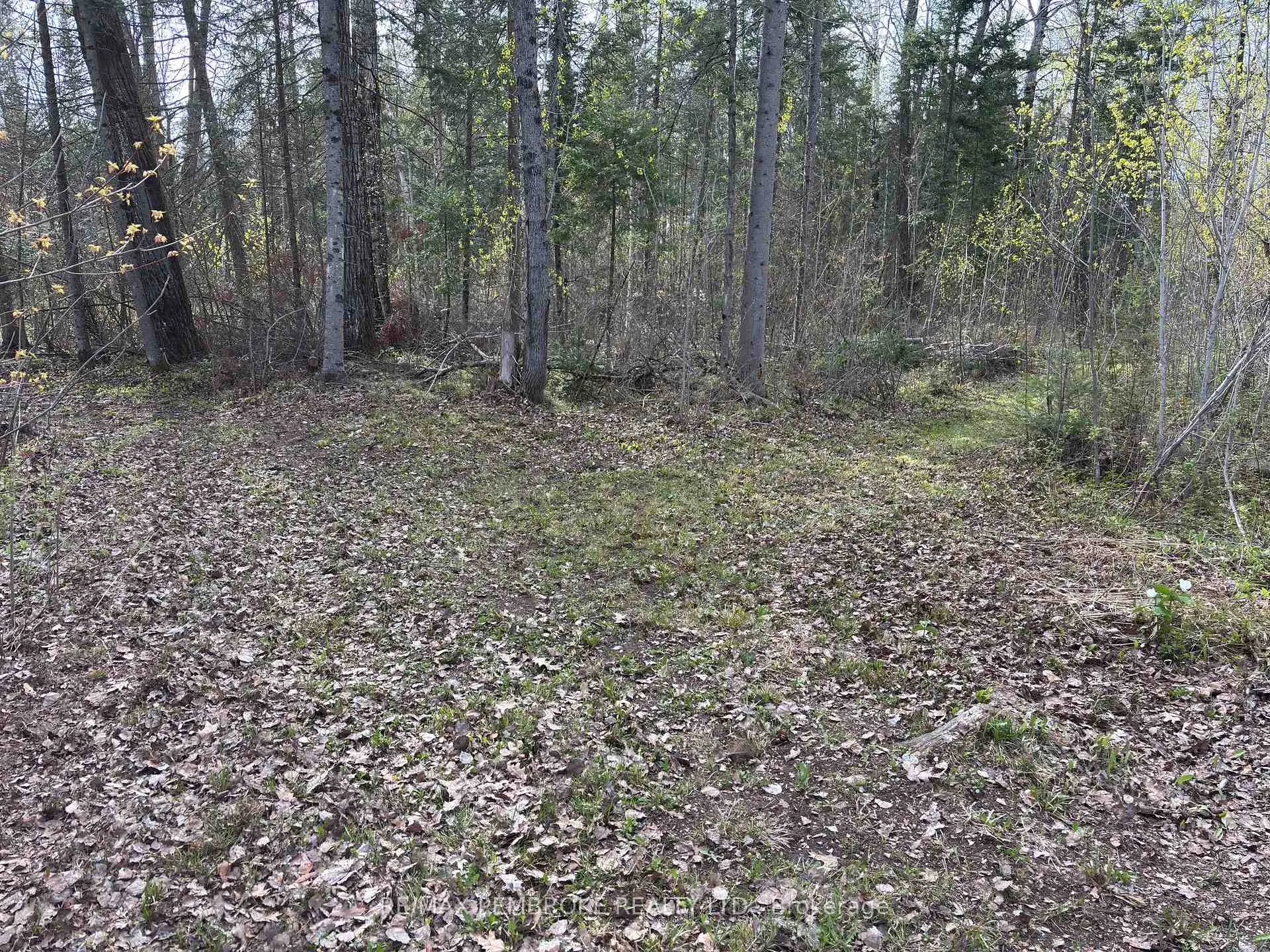 Photo 15 of 3068 McLaughlin Road, Whitewater Region, Whitewater Region — HOMEH