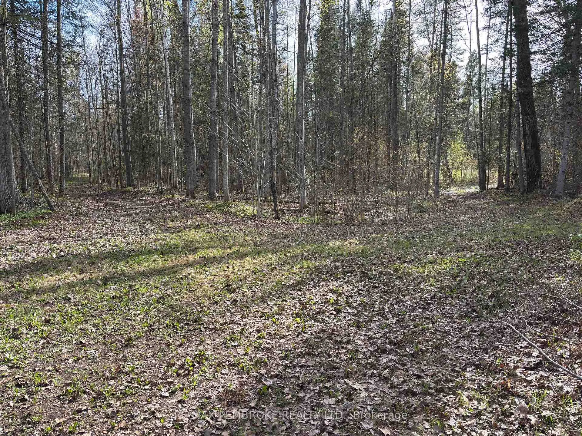 Photo 16 of 3068 McLaughlin Road, Whitewater Region, Whitewater Region — HOMEH