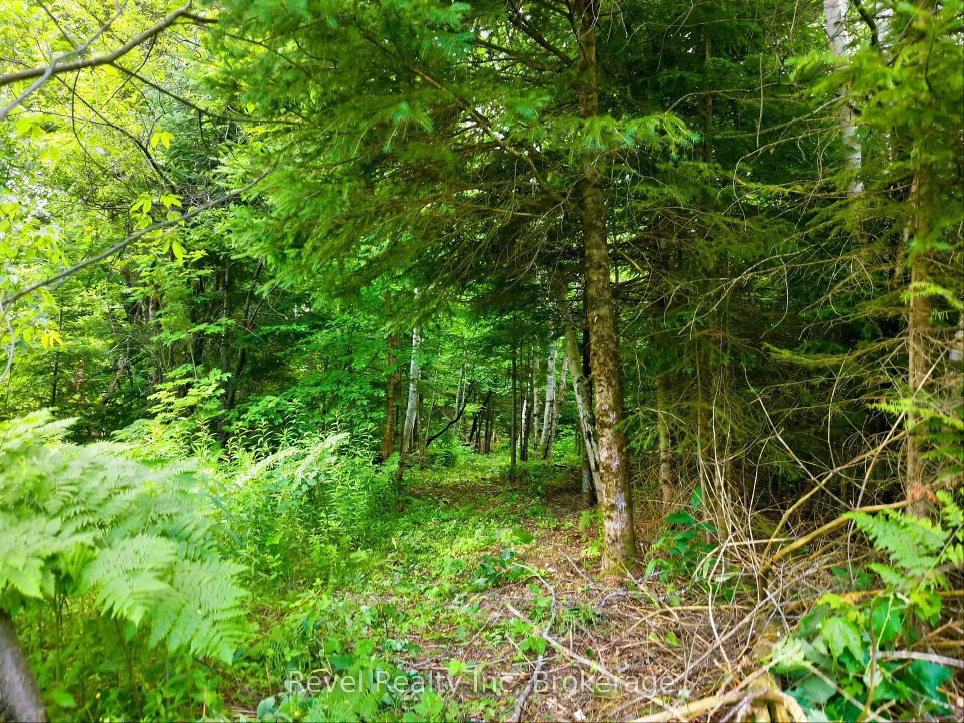 Photo 11 of LOT 2 Bird Lake Road, Bracebridge, Oakley — HOMEH