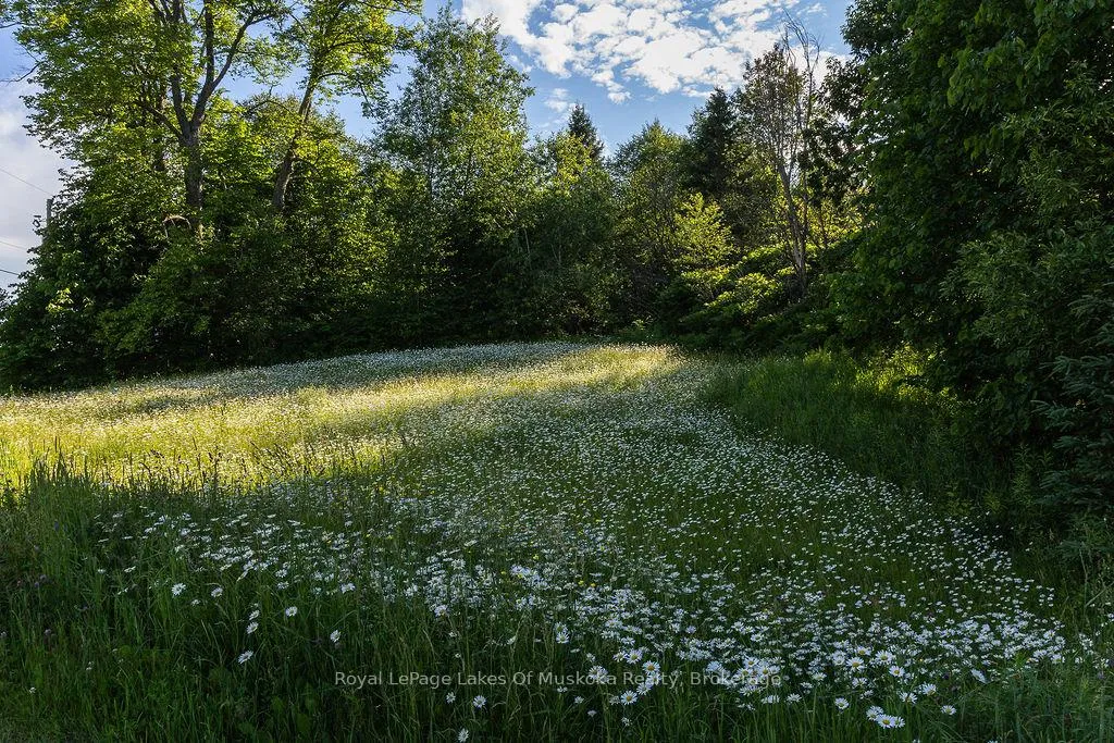 Photo 25 of 2245 Ahmic Lake Road, Magnetawan — HOMEH