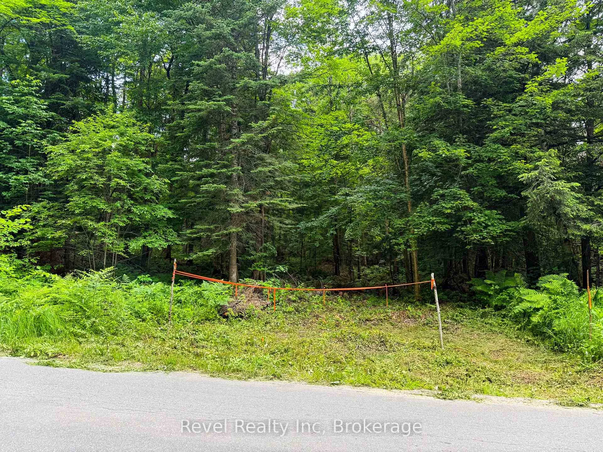 Photo 2 of LOT 1 Bird Lake Road, Bracebridge, Oakley — HOMEH