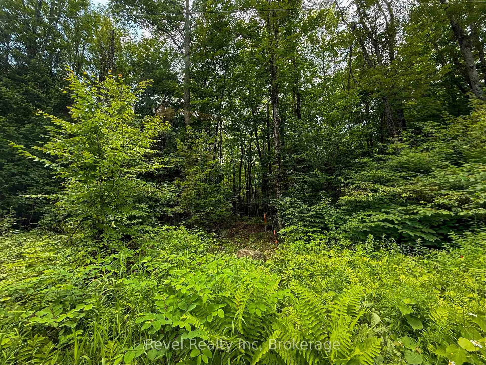 Photo 4 of LOT 1 Bird Lake Road, Bracebridge, Oakley — HOMEH