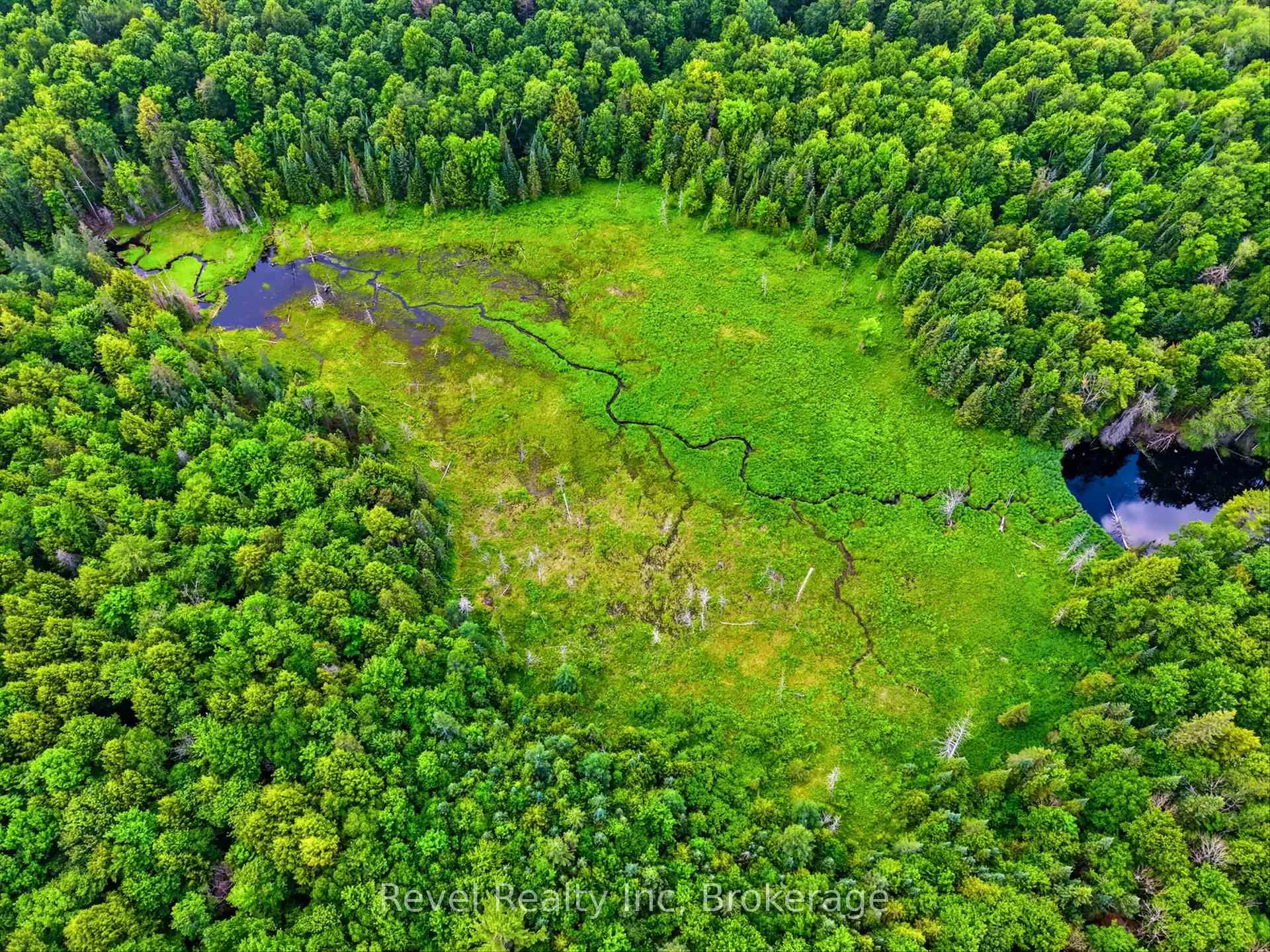 Photo 6 of LOT 1 Bird Lake Road, Bracebridge, Oakley — HOMEH