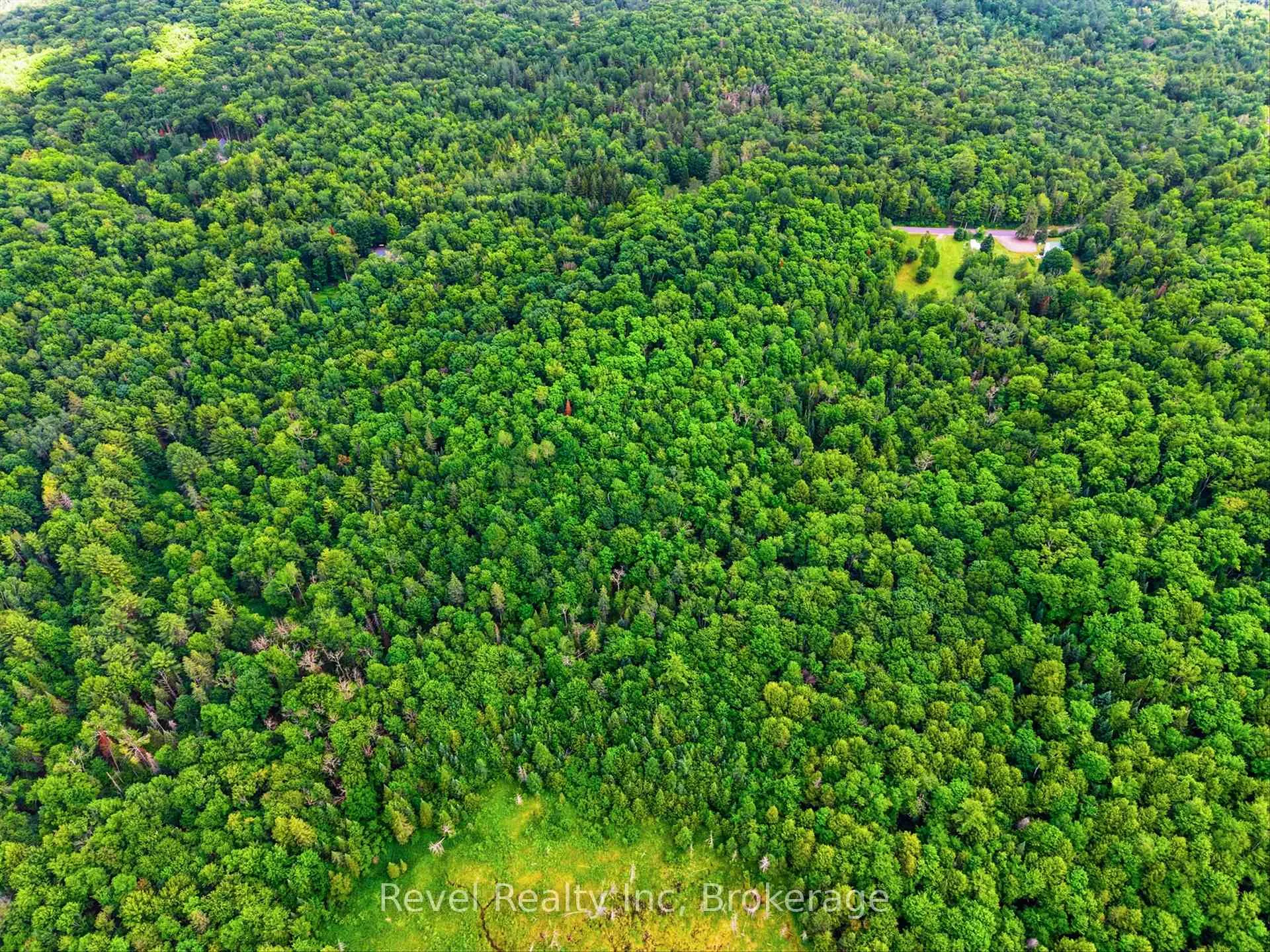 Photo 7 of LOT 1 Bird Lake Road, Bracebridge, Oakley — HOMEH