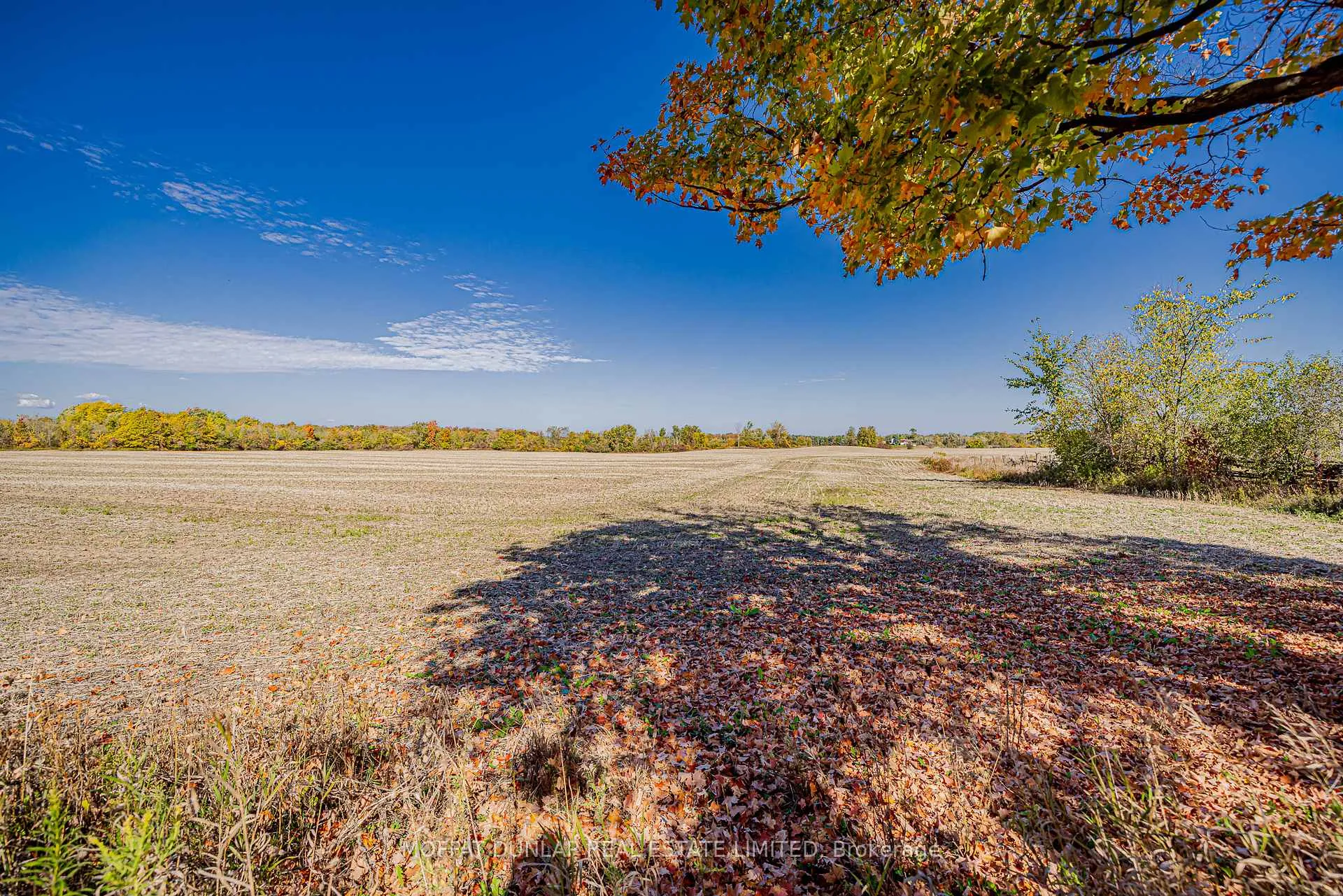 Photo 7 of 3012 8th Concession Road, Adjala-Tosorontio, Rural Adjala-Tosorontio — HOMEH