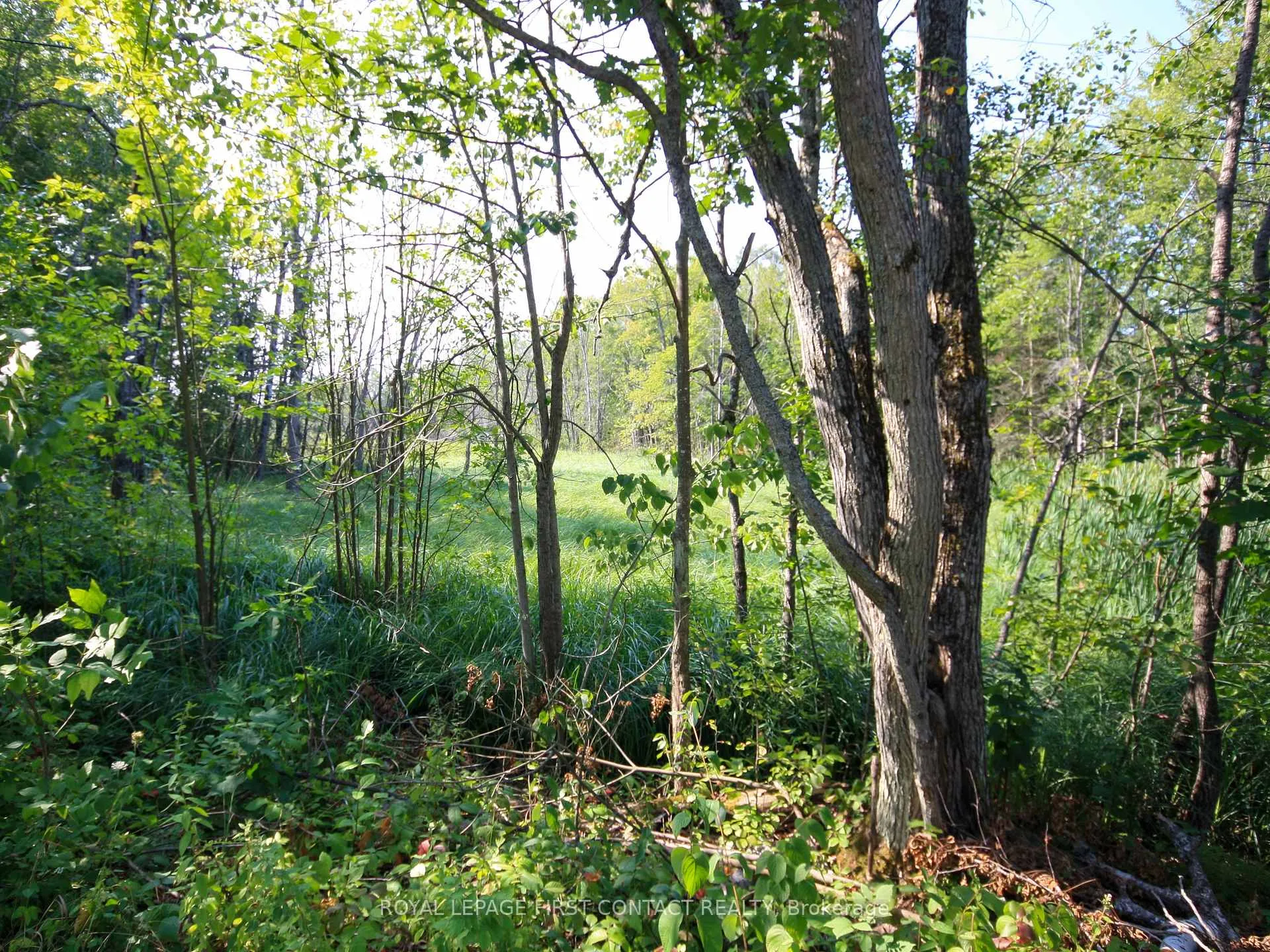 Photo 27 of 213 Birch Acres Drive, Georgian Bay, Baxter — HOMEH