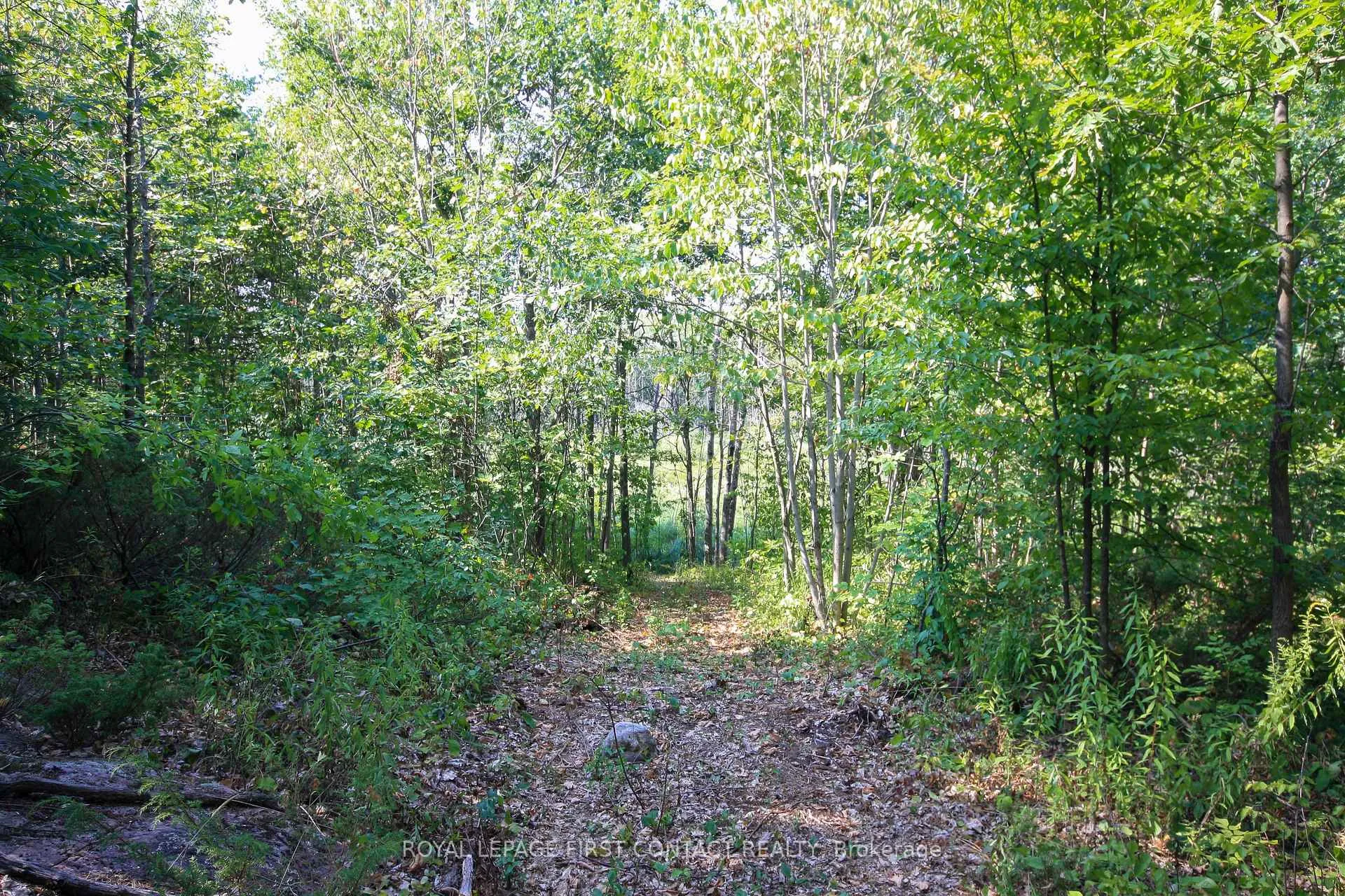 Photo 31 of 213 Birch Acres Drive, Georgian Bay, Baxter — HOMEH