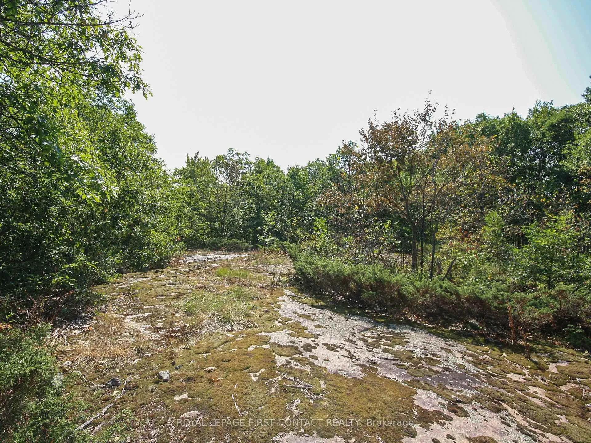 Photo 38 of 213 Birch Acres Drive, Georgian Bay, Baxter — HOMEH