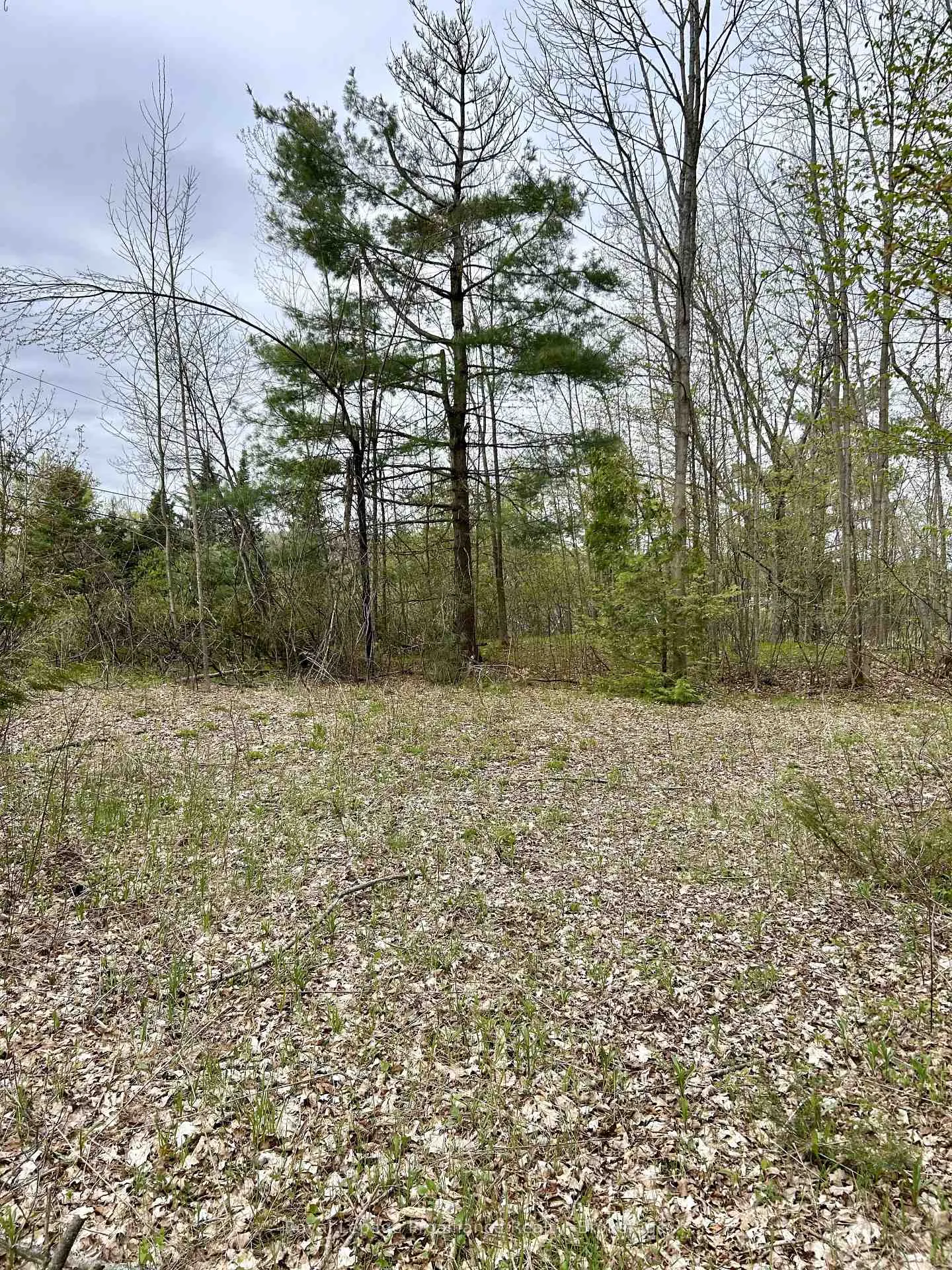 Photo 4 of 31 Glen Ridge Road, Marmora and Lake, Marmora Ward — HOMEH