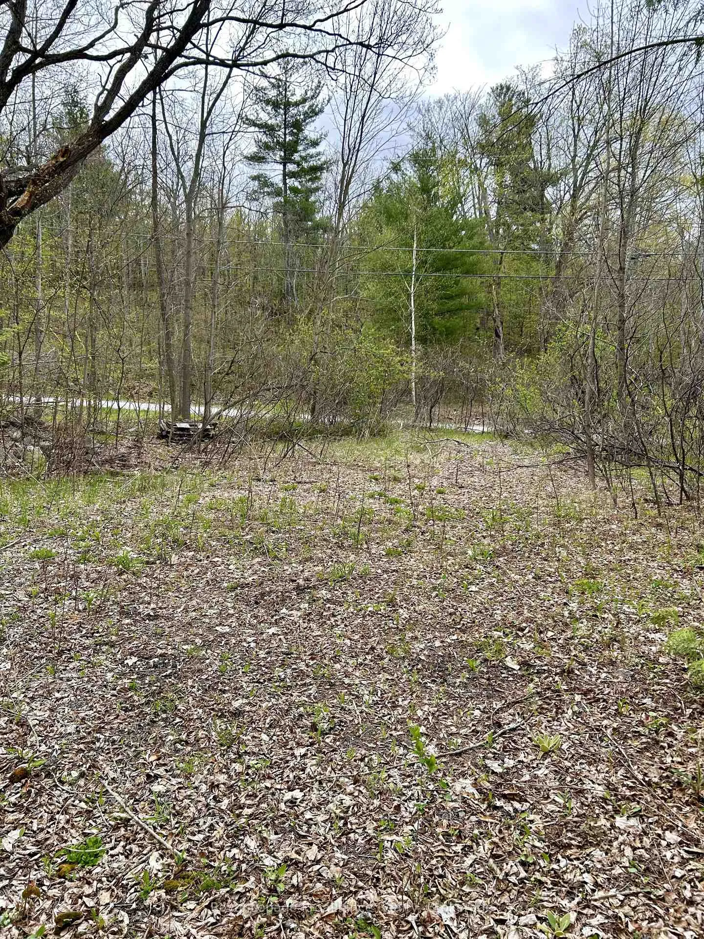 Photo 5 of 31 Glen Ridge Road, Marmora and Lake, Marmora Ward — HOMEH