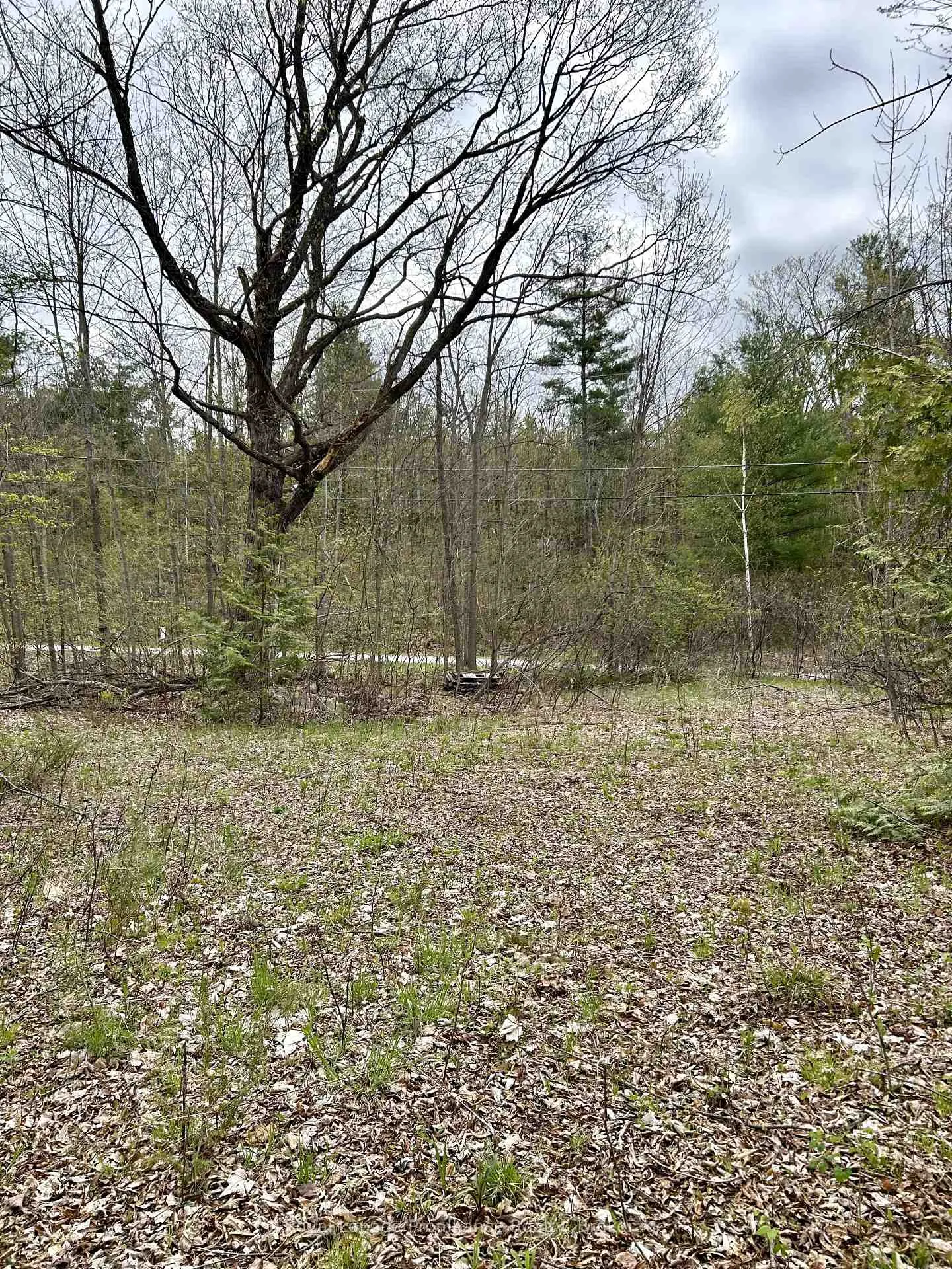 Photo 6 of 31 Glen Ridge Road, Marmora and Lake, Marmora Ward — HOMEH