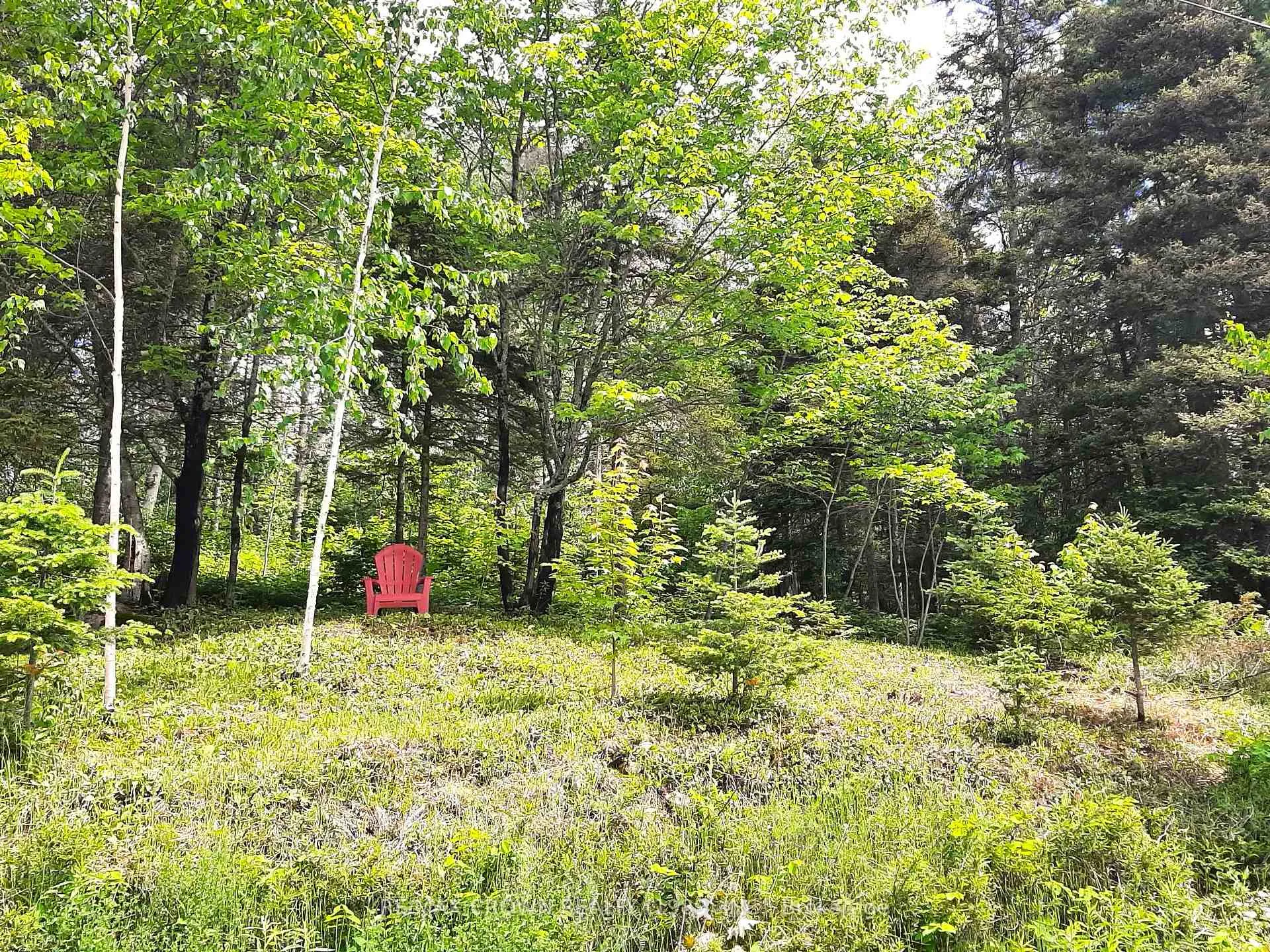 Photo 3 of PT LT 5 Kipling Road W, West Nipissing, River Valley — HOMEH