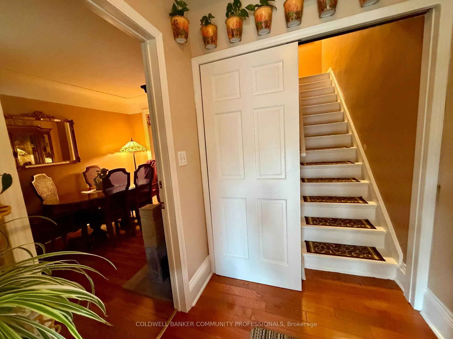 Photo 7 of 92 Case Street, Hamilton, Stipley — HOMEH