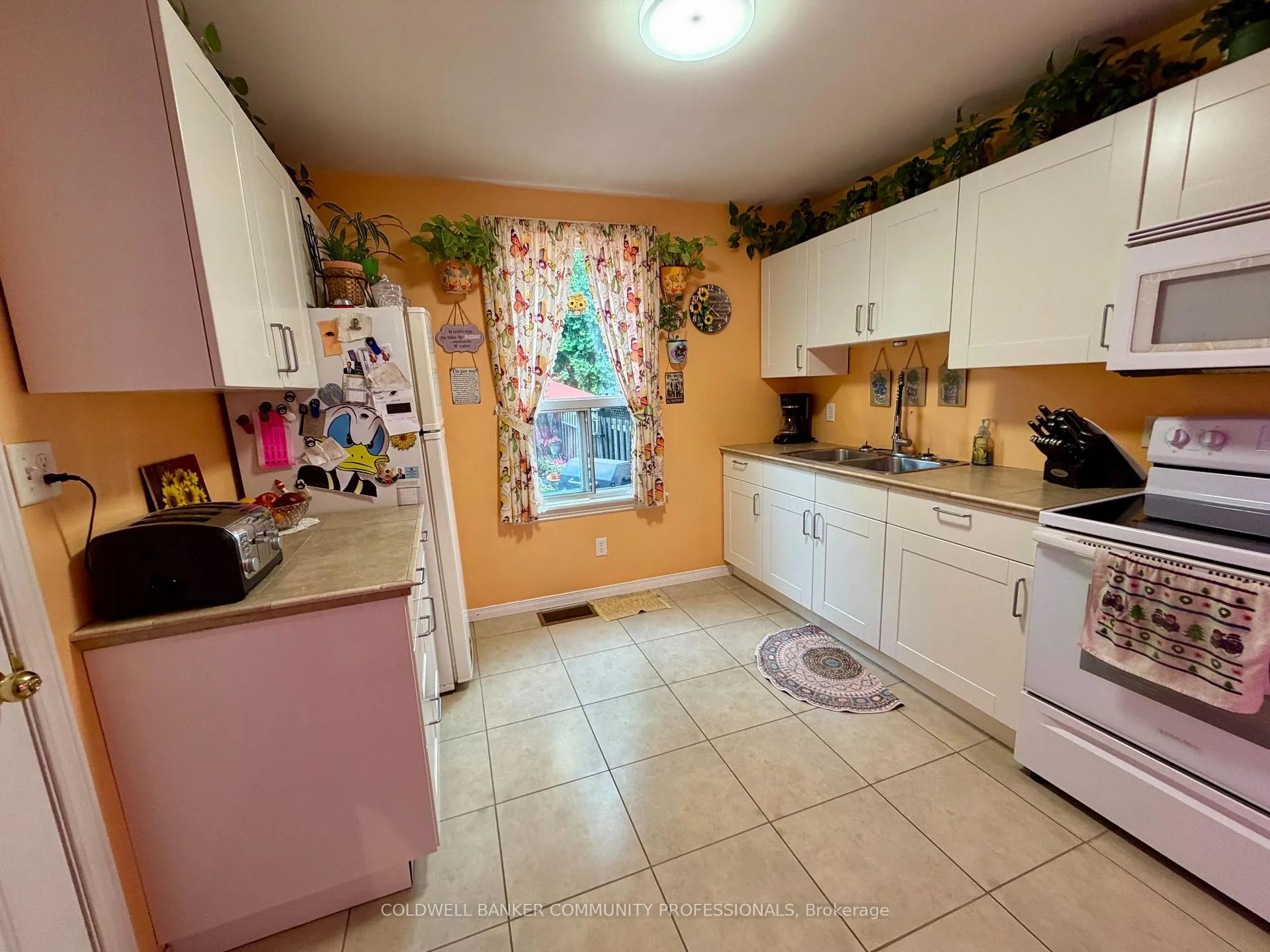 Photo 12 of 92 Case Street, Hamilton, Stipley — HOMEH