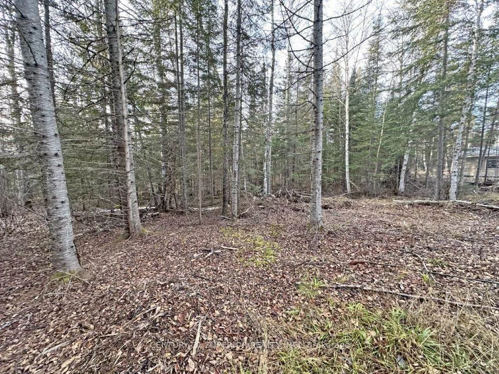 Photo 40 of 115 Golf Course Road, Nipigon — HOMEH