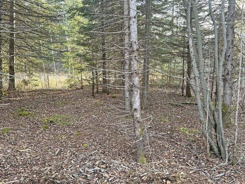 Photo 42 of 115 Golf Course Road, Nipigon — HOMEH