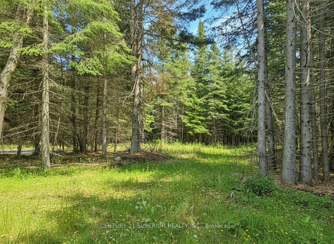 Photo 46 of 115 Golf Course Road, Nipigon — HOMEH