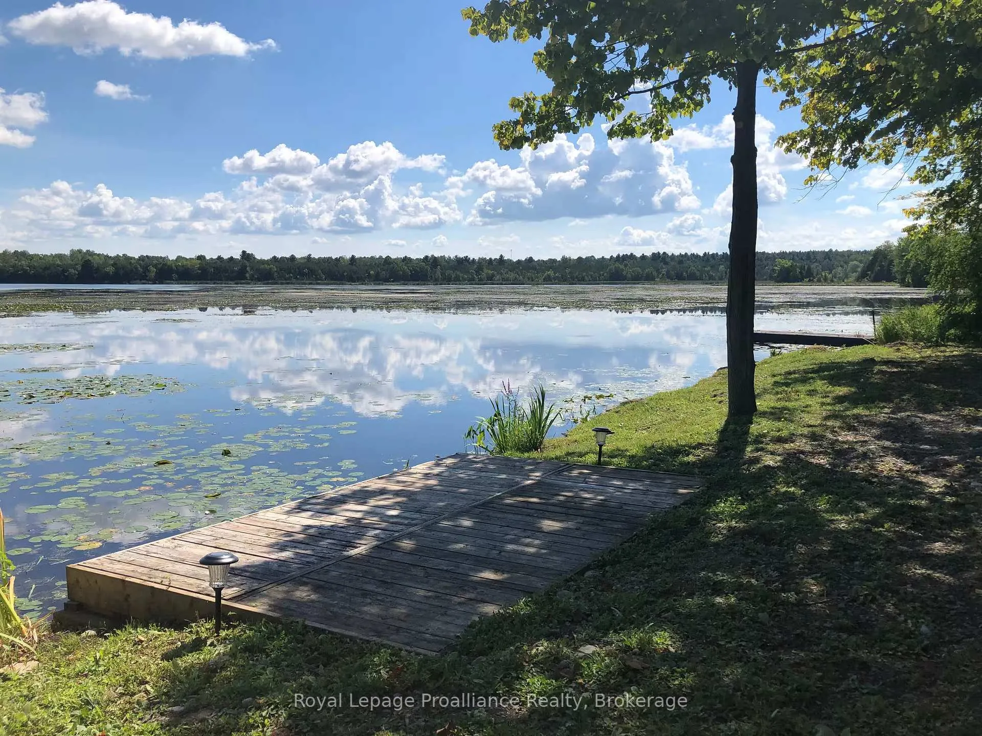 Photo of 328 South Shores Road