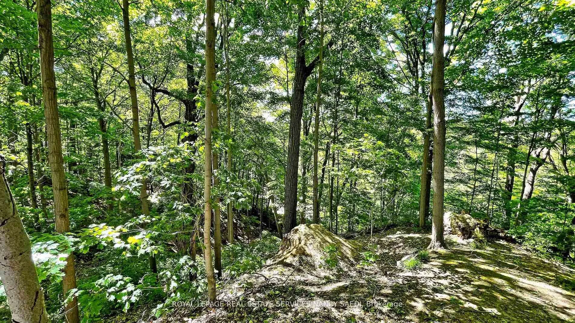 Photo 10 of 78 Arjay Crescent, North York, Bridle Path-Sunnybrook-York Mills — HOMEH