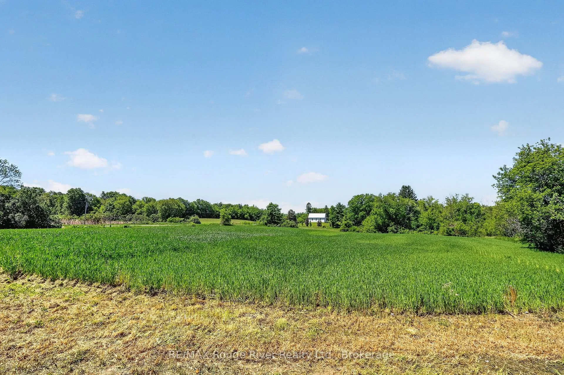 Photo 34 of 374 County 27 Road, Cramahe, Rural Cramahe — HOMEH